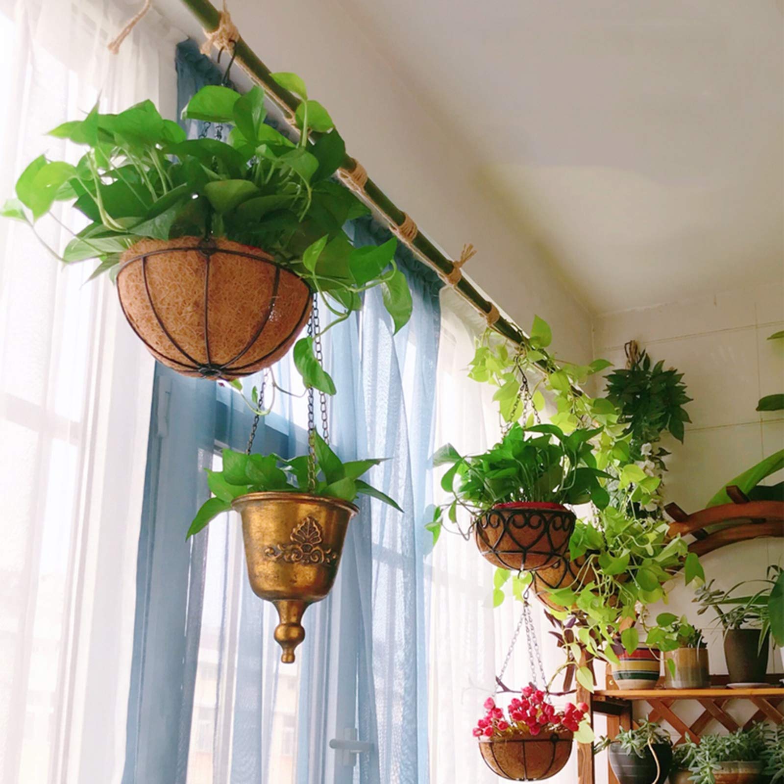 Amazon.co.jp: ハンギングバスケット，金属ハンギングプランター